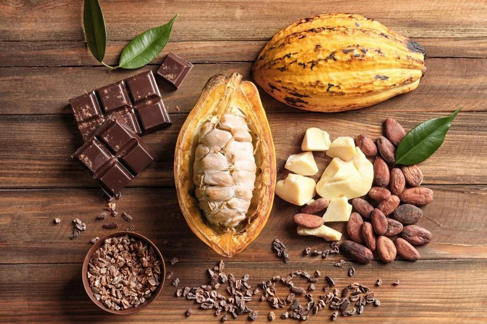 The Journey from Bean to Bonbon: How We Ensure Ethical and Sustainable Chocolate